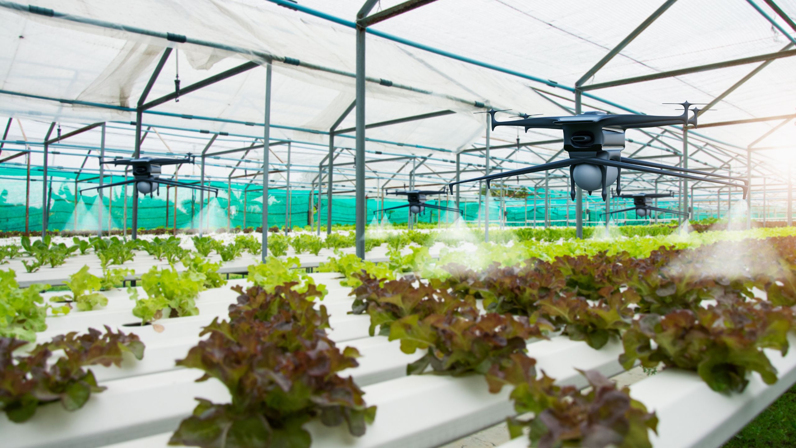 An SQF Practitioner using traceability identifies a farm deep in the supply chain uses drones to water indoor crops.