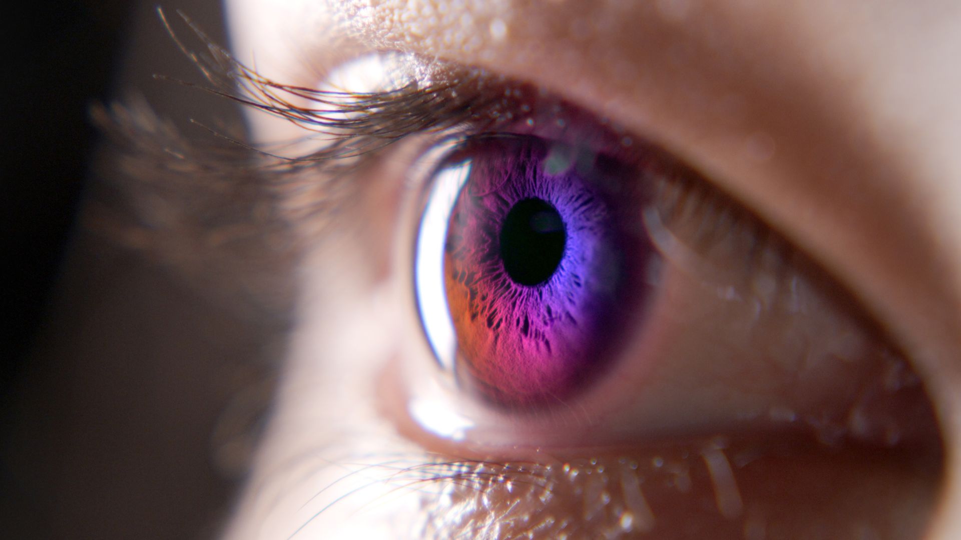 A woman's eyes are shown with gradient cosmetic contact lenses.