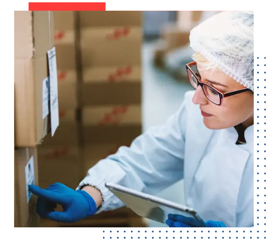Food Safety Auditor