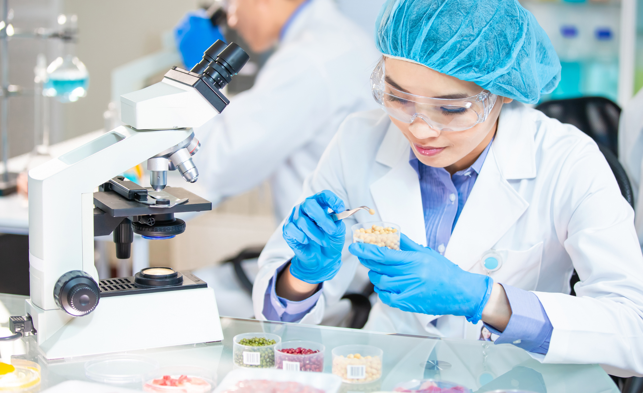 An SQF Practitioner examines food samples in a lab.