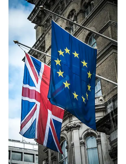 EU UK Cosmetic markets