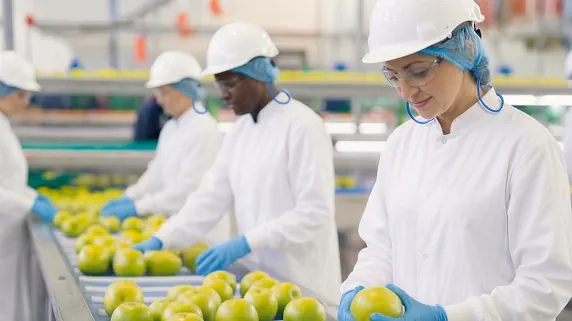 Image Frontline Workers Food Manufacturing